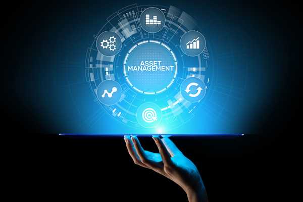The Essential Role of Asset Management Software in Today's Fast-Paced Business Landscape